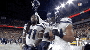 Seattle Seahawks Football GIF by NFL