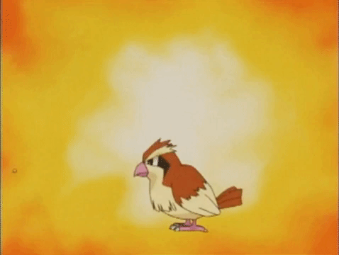 pokemon bird GIF