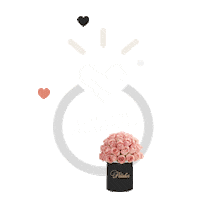 Flowers Roses Sticker by Petalier