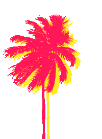 Summer Travel Sticker by BOXYCHARM