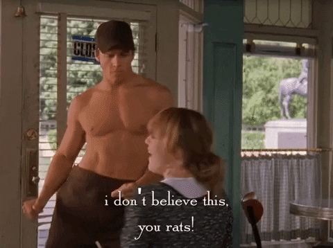 season 4 netflix GIF by Gilmore Girls 