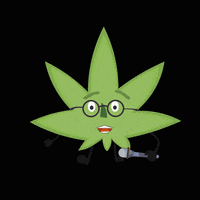 greenbrothers cannabis maconha greenbrothers GIF