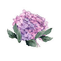 Flower Love Sticker by aizastbf