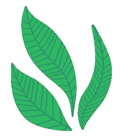 Art Grow Sticker