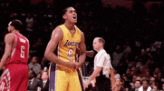 Excited Los Angeles Lakers GIF by NBA