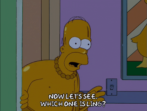 homer simpson GIF