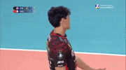 Volleyball Italia GIF