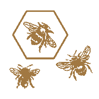 RawDecor bee bees hexagon pszczola Sticker
