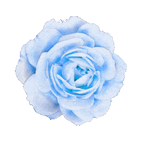 byherusugiarta blue flower aesthetic Sticker