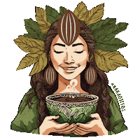 Cocoa Cacao Sticker by kakaositos.cz