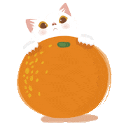 Dogiscat Sticker
