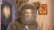 Cat Stop It GIF