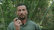 VIER vier demol GIF