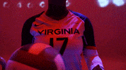 Volleyball Uva GIF by Virginia Athletics