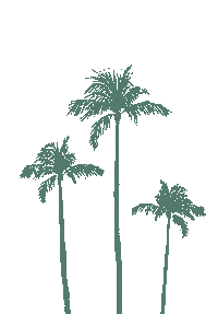 gotobrandgirl beach coconut palm trees island life Sticker