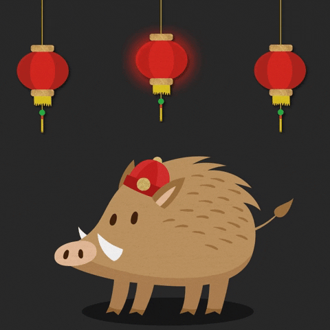 Chinese New Year Gong Hei Fat Choy GIF by evite