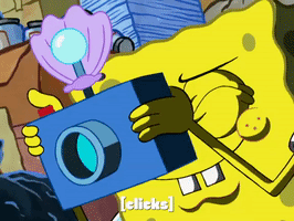 season 8 episode 3 GIF by SpongeBob SquarePants