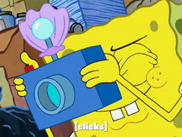 season 8 episode 3 GIF by SpongeBob SquarePants