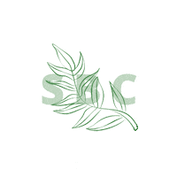 Sbc Sticker by British Beauty Council