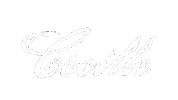 cecillerecords vinyl housemusic cecille nickcurly Sticker
