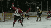 hockey yes GIF by Ottawa 67's