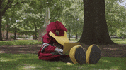 South Carolina College GIF by University of South Carolina