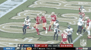 San Francisco 49Ers Football GIF by NFL
