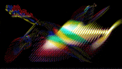 noia GIF by A.M.T.G. G.G.