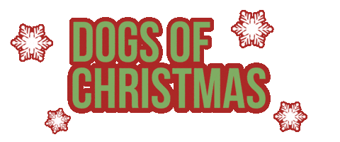 Dog Christmas Sticker by Apawture Studios Pet Photography