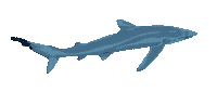 LaPageDeCam blue ocean fish sea Sticker