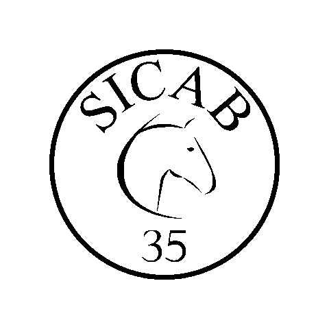 Sicab Sticker by ANCCE Oficial