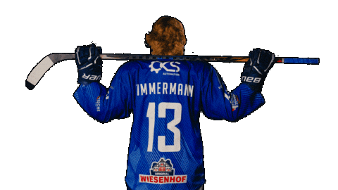 Tigershockey Sticker by Straubing Tigers