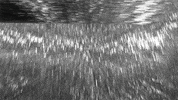 3d glitch GIF by Nico Roxe