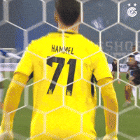 Football Save GIF by GCZ
