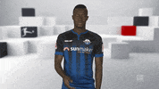 No Way Facepalm GIF by Bundesliga