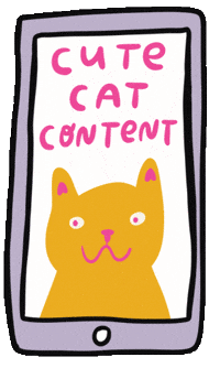 Internet Cats GIF by Able And Game