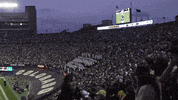 University Of Colorado College GIF by CUBoulder