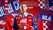 Hockeytown GIF by HC Dynamo Pardubice