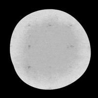 Nest Jafra GIF by Jafra Productions