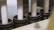 blackplaguebrewing craft beer brewery craft brewery beer cans GIF