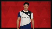 Arminia Bielefeld Football GIF by Bundesliga