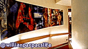 Willianpacpacslife GIF