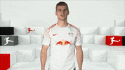 football yes GIF by Bundesliga