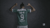 german football GIF by Bundesliga