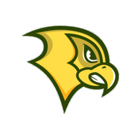 FelicianUniversity felician felician university golden falcons felician falcon Sticker