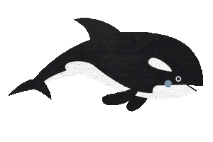 Ocean Save Sticker by followfood