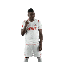 Fc Cologne Bundesliga Sticker by 1. FC Köln