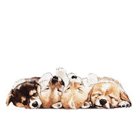 Sleepy Sleeping Dogs Sticker