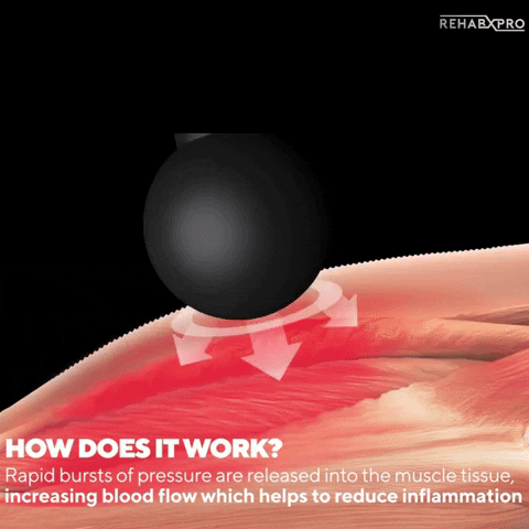 samwhite011a giphyupload GIF