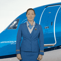 Cabin Crew Thumbs Up GIF by KLM